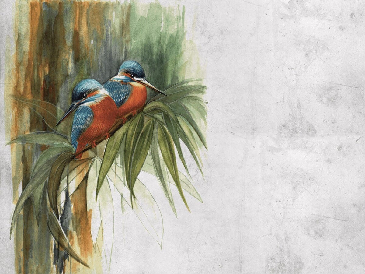Tapeta ścienna zimorodki "Kingfisher Birds - Aquarelle"