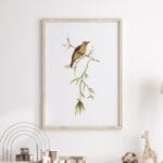 Simply Botanic Pliszka Poster