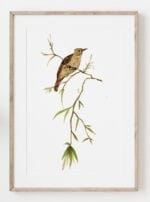 Simply Botanic Pliszka Poster - Image 2