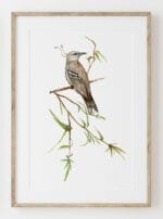 Simply Botanic Jay Poster - Image 2