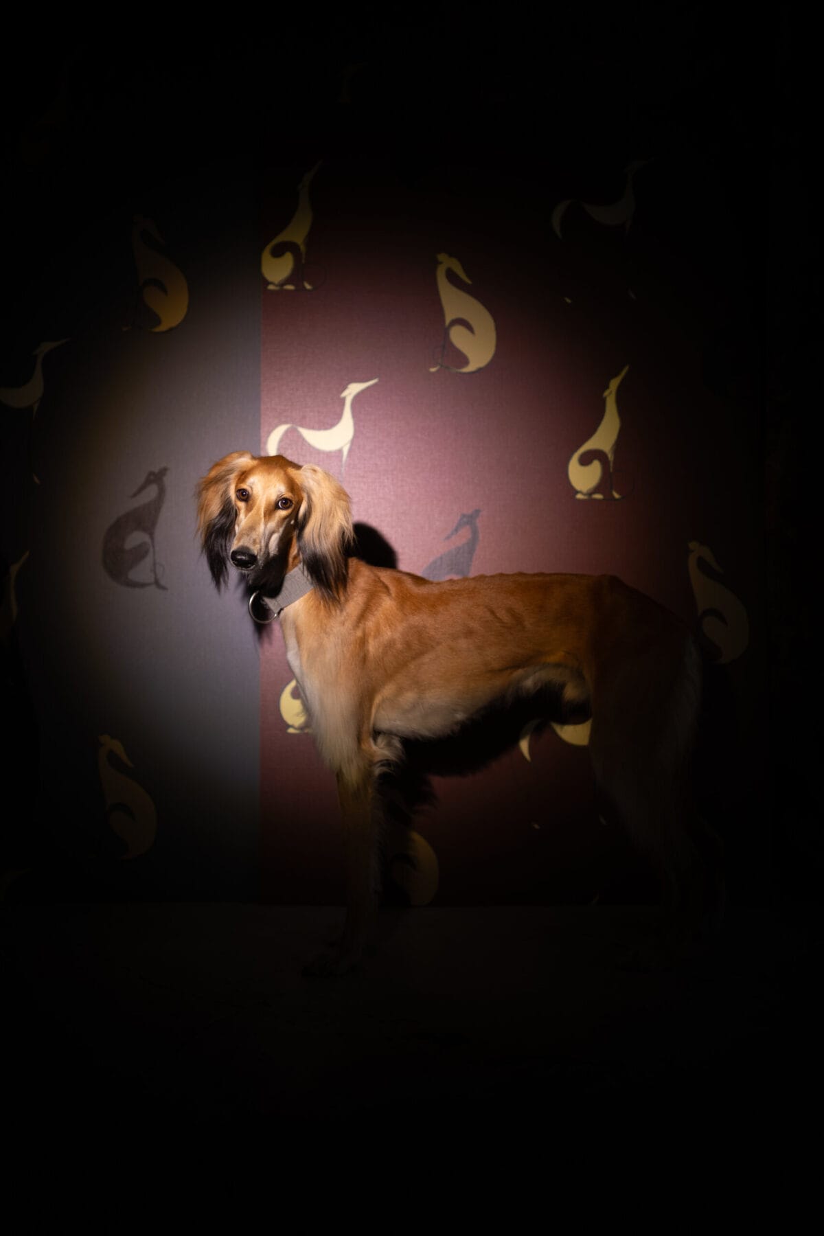 Bamboo Brown Wallpaper (Kopia) (Kopia) (Kopia) - Image 2